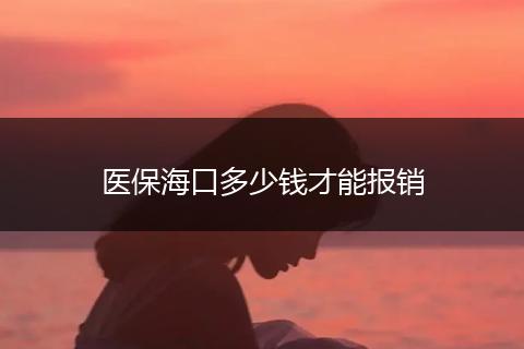 医保海口多少钱才能报销