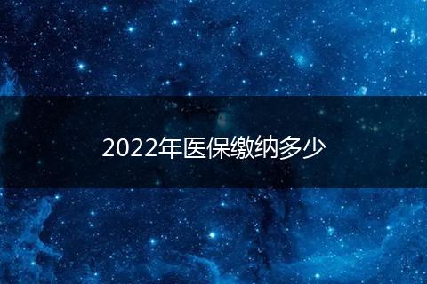 2022年医保缴纳多少
