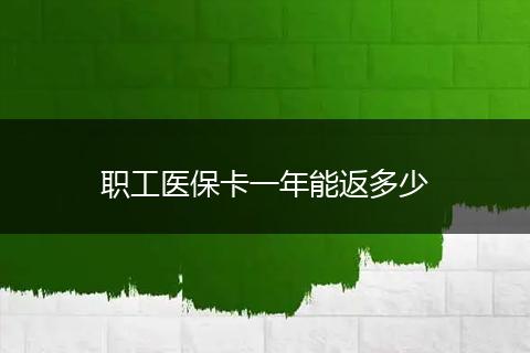 职工医保卡一年能返多少