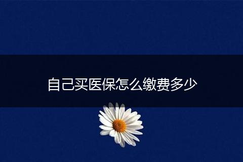 自己买医保怎么缴费多少