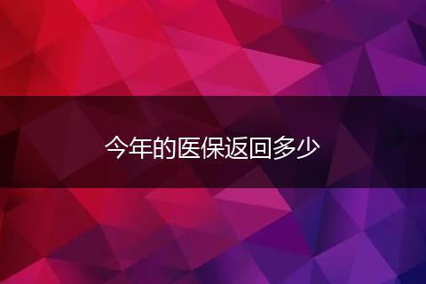 今年的医保返回多少