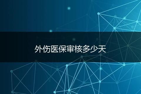 外伤医保审核多少天