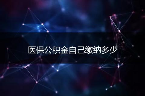 医保公积金自己缴纳多少