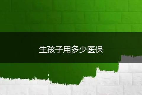 生孩子用多少医保
