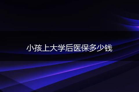 小孩上大学后医保多少钱