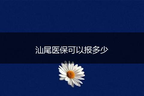 汕尾医保可以报多少