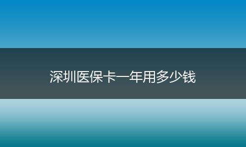 深圳医保卡一年用多少钱