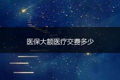 医保大额医疗交费多少