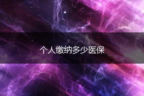 个人缴纳多少医保