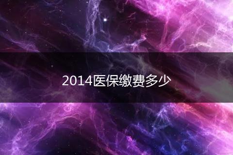 2014医保缴费多少