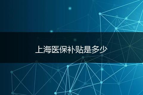 上海医保补贴是多少