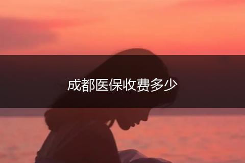 成都医保收费多少