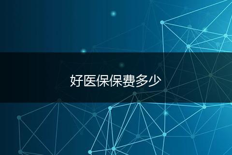 好医保保费多少