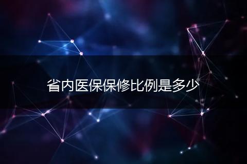省内医保保修比例是多少
