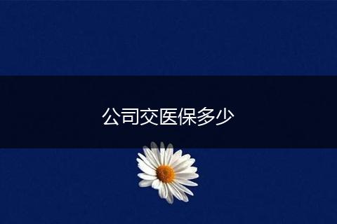 公司交医保多少