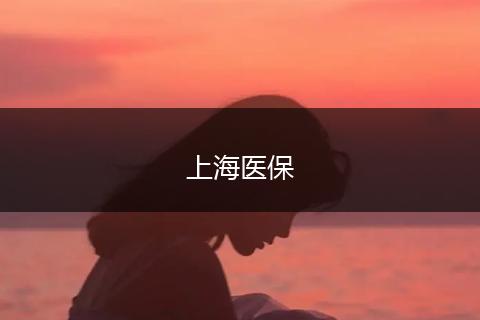 上海医保