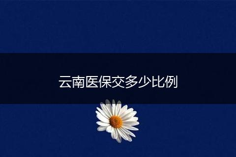 云南医保交多少比例