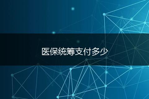 医保统筹支付多少