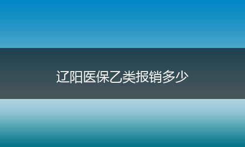 辽阳医保乙类报销多少