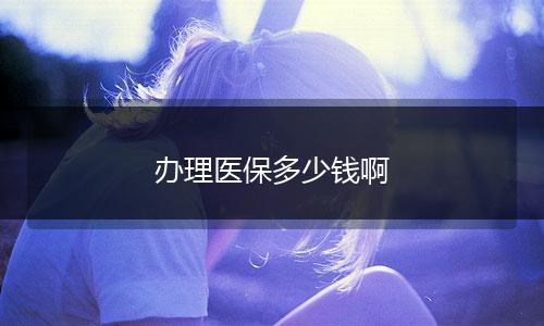 办理医保多少钱啊