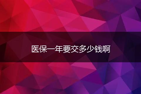 医保一年要交多少钱啊