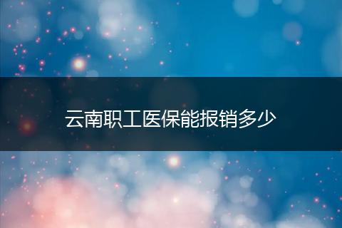 云南职工医保能报销多少
