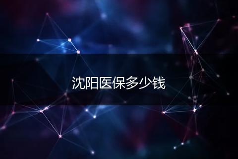 沈阳医保多少钱
