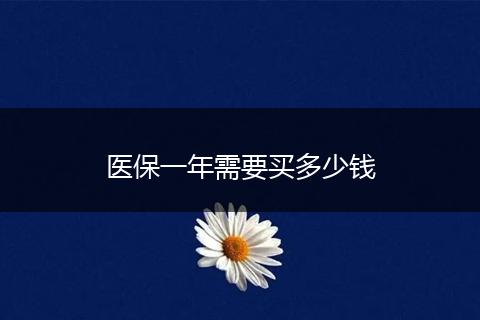 医保一年需要买多少钱