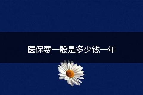 医保费一般是多少钱一年