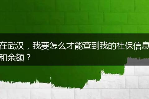 在武汉，我要怎么才能查到我的社保信息和余额？