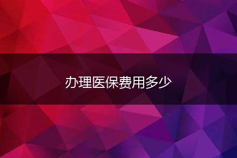 办理医保费用多少
