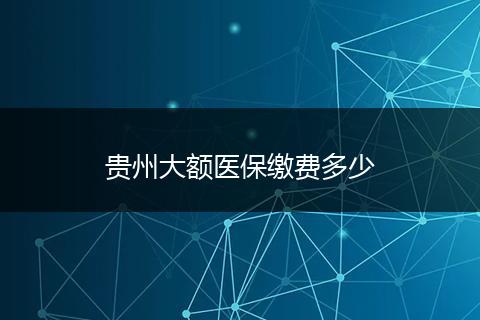 贵州大额医保缴费多少