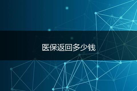 医保返回多少钱