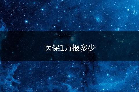 医保1万报多少