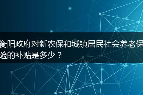 衡阳政府对新农保和城镇居民社会养老保险的补贴是多少？