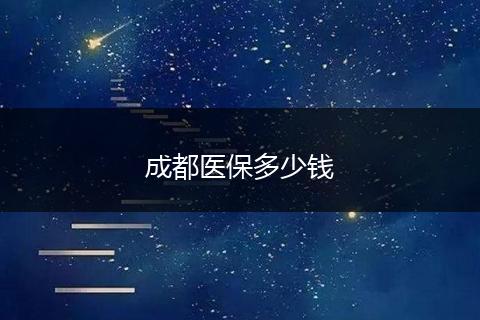 成都医保多少钱