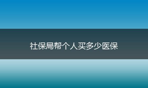 社保局帮个人买多少医保