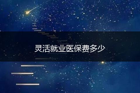 灵活就业医保费多少