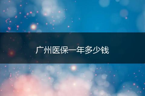广州医保一年多少钱