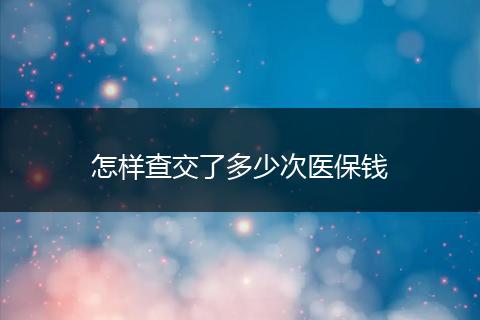 怎样查交了多少次医保钱
