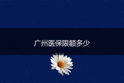 广州医保限额多少