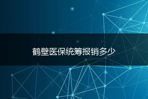 鹤壁医保统筹报销多少