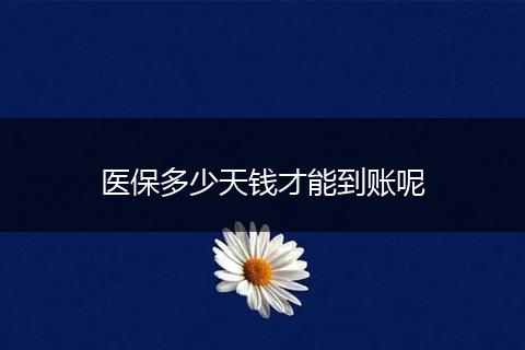 医保多少天钱才能到账呢