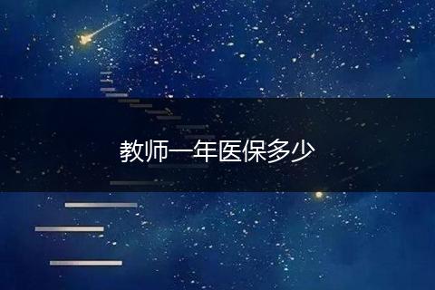 教师一年医保多少