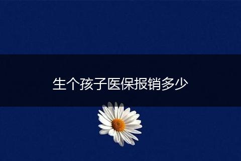 生个孩子医保报销多少