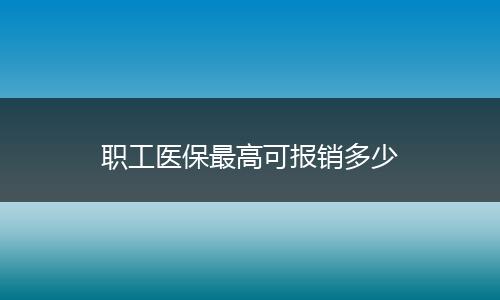职工医保最高可报销多少