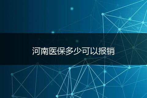 河南医保多少可以报销