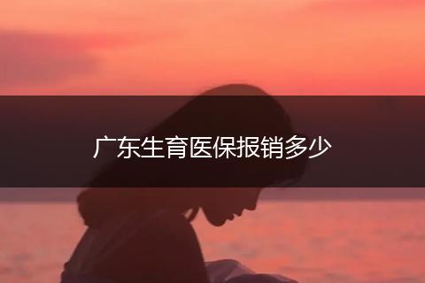 广东生育医保报销多少