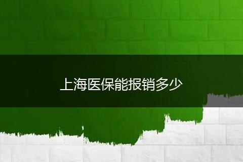 上海医保能报销多少