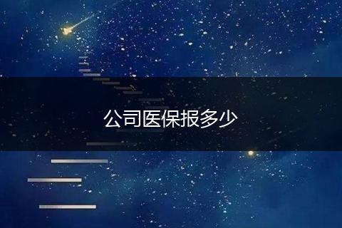 公司医保报多少